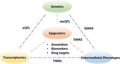 Making Sense of the Epigenome Using Data Integration Approaches